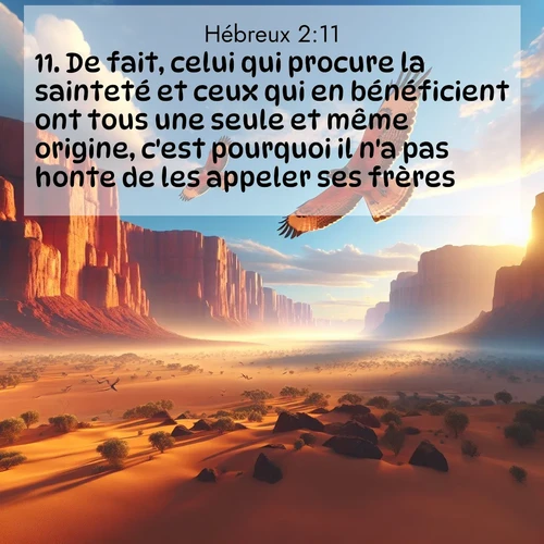 Segond21 Hébreux  ; image nature: image avec le verset biblique :De fait, celui qui procure la sainteté et ceux qui en bénéficient ont tous une seule et même origine, c&#039;est pourquoi il n&#039;a pas honte de les appeler ses frères ;  ; 2:11