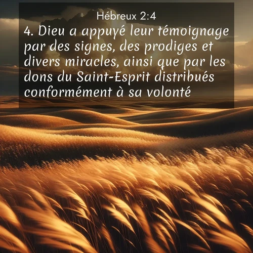 Segond21 Hébreux  ; image nature: image avec le verset biblique :Dieu a appuyé leur témoignage par des signes, des prodiges et divers miracles, ainsi que par les dons du Saint-Esprit distribués conformément à sa volonté. ;  ; 2:4