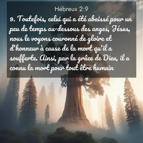 Segond21 Hébreux  ; image nature: image avec le verset biblique :Toutefois, celui qui a été abaissé pour un peu de temps au-dessous des anges, Jésus, nous le voyons couronné de gloire et d&#039;honneur à cause de la mort qu&#039;il a soufferte. Ainsi, par la grâce de Dieu, il a connu la mort pour tout être humain. ;  ; 2:9