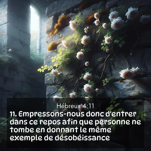 Segond21 Hébreux  ; image nature: image avec le verset biblique :Empressons-nous donc d&#039;entrer dans ce repos afin que personne ne tombe en donnant le même exemple de désobéissance. ;  ; 4:11