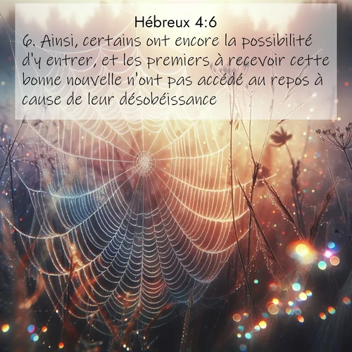 Segond21 Hébreux  ; image nature: image avec le verset biblique :Ainsi, certains ont encore la possibilité d&#039;y entrer, et les premiers à recevoir cette bonne nouvelle n&#039;ont pas accédé au repos à cause de leur désobéissance. ;  ; 4:6