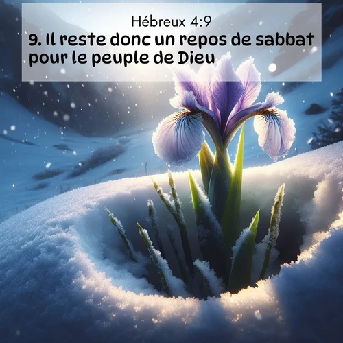 Segond21 Hébreux  ; image nature: image avec le verset biblique :Il reste donc un repos de sabbat pour le peuple de Dieu. ;  ; 4:9