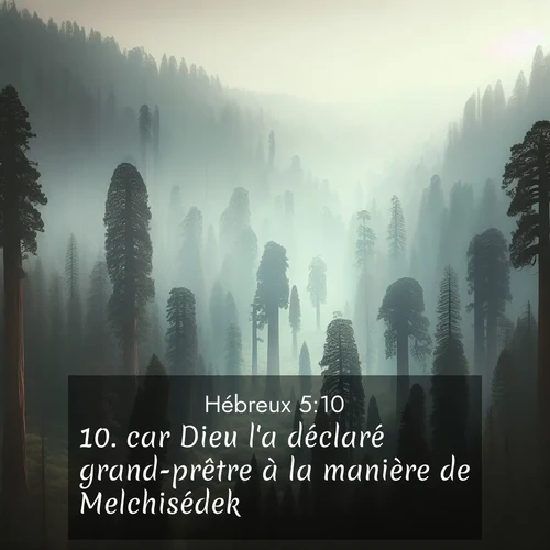 Segond21 Hébreux  ; image nature: image avec le verset biblique :car Dieu l&#039;a déclaré grand-prêtre à la manière de Melchisédek. ;  ; 5:10