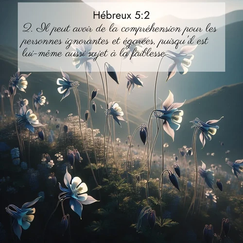 Segond21 Hébreux  ; image nature: image avec le verset biblique :Il peut avoir de la compréhension pour les personnes ignorantes et égarées, puisqu&#039;il est lui-même aussi sujet à la faiblesse. ;  ; 5:2