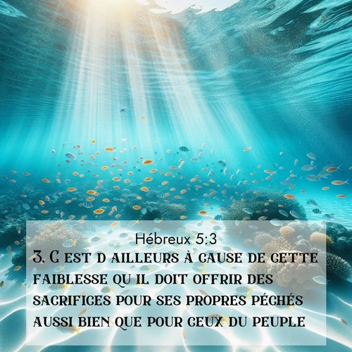 Segond21 Hébreux  ; image nature: image avec le verset biblique :C&#039;est d&#039;ailleurs à cause de cette faiblesse qu&#039;il doit offrir des sacrifices pour ses propres péchés aussi bien que pour ceux du peuple. ;  ; 5:3