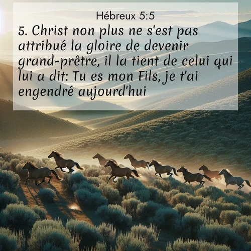 Segond21 Hébreux  ; image nature: image avec le verset biblique :Christ non plus ne s&#039;est pas attribué la gloire de devenir grand-prêtre, il la tient de celui qui lui a dit: Tu es mon Fils, je t&#039;ai engendré aujourd&#039;hui! ;  ; 5:5