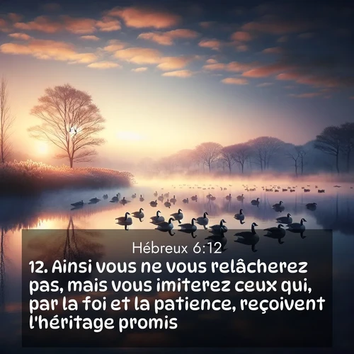 Segond21 Hébreux  ; image nature: image avec le verset biblique :Ainsi vous ne vous relâcherez pas, mais vous imiterez ceux qui, par la foi et la patience, reçoivent l&#039;héritage promis. ;  ; 6:12