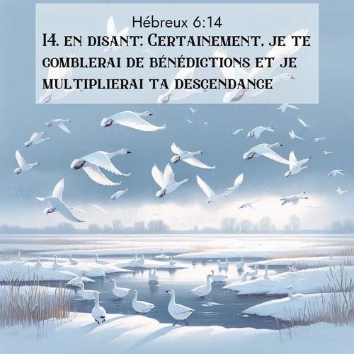 Segond21 Hébreux  ; image nature: image avec le verset biblique :en disant: Certainement, je te comblerai de bénédictions et je multiplierai ta descendance. ;  ; 6:14