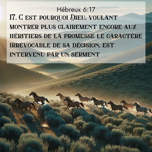 Segond21 Hébreux  ; image nature: image avec le verset biblique :C&#039;est pourquoi Dieu, voulant montrer plus clairement encore aux héritiers de la promesse le caractère irrévocable de sa décision, est intervenu par un serment. ;  ; 6:17