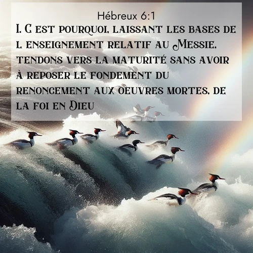 Segond21 Hébreux  ; image nature: image avec le verset biblique :C&#039;est pourquoi, laissant les bases de l&#039;enseignement relatif au Messie, tendons vers la maturité sans avoir à reposer le fondement du renoncement aux oeuvres mortes, de la foi en Dieu, ;  ; 6:1