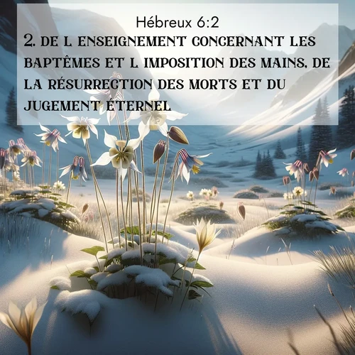 Segond21 Hébreux  ; image nature: image avec le verset biblique :de l&#039;enseignement concernant les baptêmes et l&#039;imposition des mains, de la résurrection des morts et du jugement éternel. ;  ; 6:2