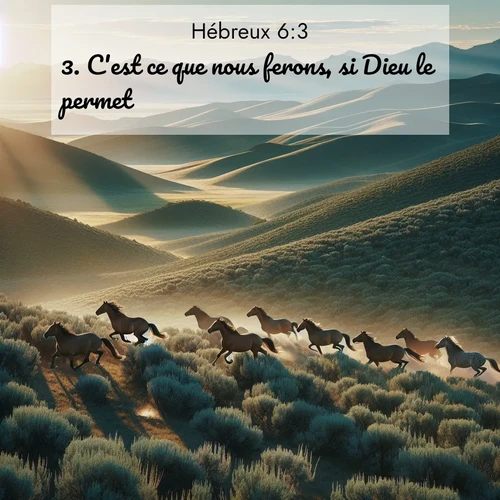 Segond21 Hébreux  ; image nature: image avec le verset biblique :C&#039;est ce que nous ferons, si Dieu le permet. ;  ; 6:3