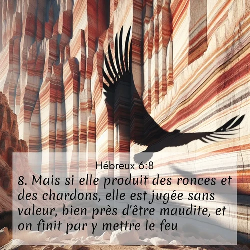 Segond21 Hébreux  ; image nature: image avec le verset biblique :Mais si elle produit des ronces et des chardons, elle est jugée sans valeur, bien près d&#039;être maudite, et on finit par y mettre le feu. ;  ; 6:8
