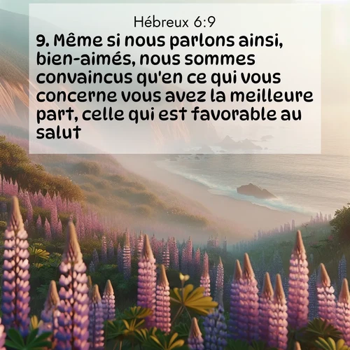 Segond21 Hébreux  ; image nature: image avec le verset biblique :Même si nous parlons ainsi, bien-aimés, nous sommes convaincus qu&#039;en ce qui vous concerne vous avez la meilleure part, celle qui est favorable au salut. ;  ; 6:9