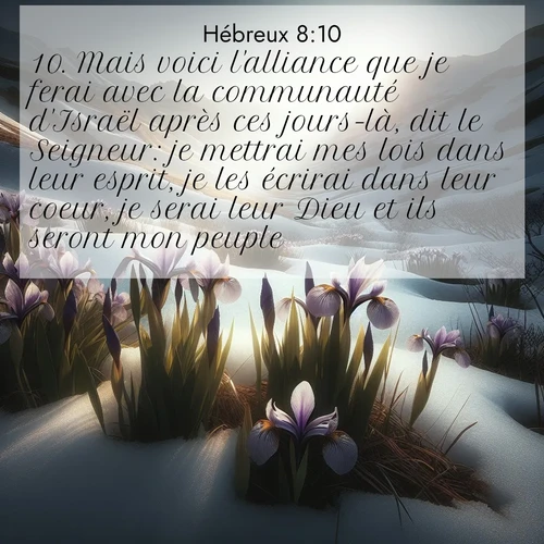 Segond21 Hébreux  ; image nature: image avec le verset biblique :Mais voici l&#039;alliance que je ferai avec la communauté d&#039;Israël après ces jours-là, dit le Seigneur: je mettrai mes lois dans leur esprit, je les écrirai dans leur coeur, je serai leur Dieu et ils seront mon peuple. ;  ; 8:10