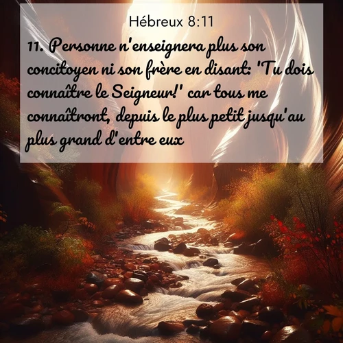 Segond21 Hébreux  ; image nature: image avec le verset biblique :Personne n&#039;enseignera plus son concitoyen ni son frère en disant: &#039;Tu dois connaître le Seigneur!&#039; car tous me connaîtront, depuis le plus petit jusqu&#039;au plus grand d&#039;entre eux. ;  ; 8:11
