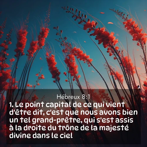 Segond21 Hébreux  ; image nature: image avec le verset biblique :Le point capital de ce qui vient d&#039;être dit, c&#039;est que nous avons bien un tel grand-prêtre, qui s&#039;est assis à la droite du trône de la majesté divine dans le ciel ;  ; 8:1