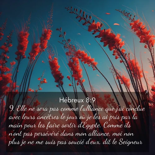 Segond21 Hébreux  ; image nature: image avec le verset biblique :Elle ne sera pas comme l&#039;alliance que j&#039;ai conclue avec leurs ancêtres le jour où je les ai pris par la main pour les faire sortir d&#039;Egypte. Comme ils n&#039;ont pas persévéré dans mon alliance, moi non plus je ne me suis pas soucié d&#039;eux, dit le Seigneur. ;  ; 8:9