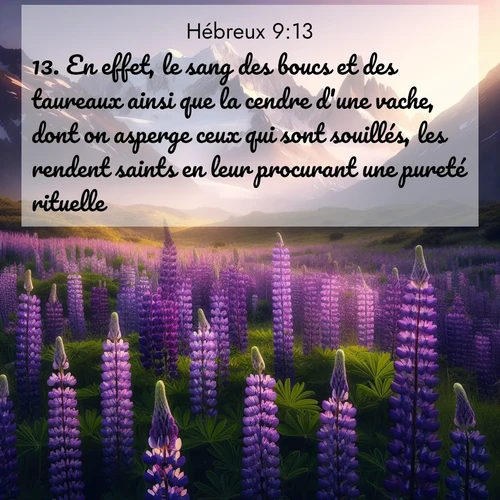 Segond21 Hébreux  ; image nature: image avec le verset biblique :En effet, le sang des boucs et des taureaux ainsi que la cendre d&#039;une vache, dont on asperge ceux qui sont souillés, les rendent saints en leur procurant une pureté rituelle. ;  ; 9:13