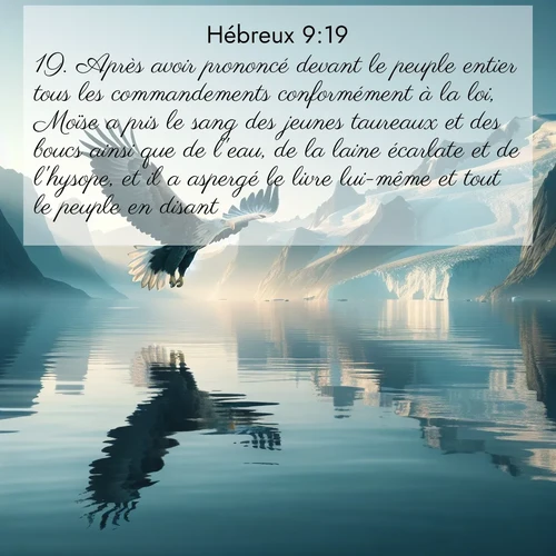 Segond21 Hébreux  ; image nature: image avec le verset biblique :Après avoir prononcé devant le peuple entier tous les commandements conformément à la loi, Moïse a pris le sang des jeunes taureaux et des boucs ainsi que de l&#039;eau, de la laine écarlate et de l&#039;hysope, et il a aspergé le livre lui-même et tout le peuple en disant: ;  ; 9:19