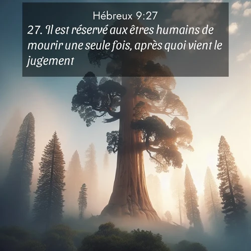 Segond21 Hébreux  ; image nature: image avec le verset biblique :Il est réservé aux êtres humains de mourir une seule fois, après quoi vient le jugement. ;  ; 9:27