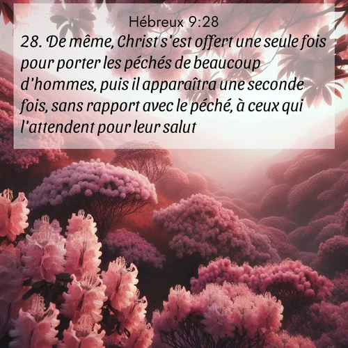 Segond21 Hébreux  ; image nature: image avec le verset biblique :De même, Christ s&#039;est offert une seule fois pour porter les péchés de beaucoup d&#039;hommes, puis il apparaîtra une seconde fois, sans rapport avec le péché, à ceux qui l&#039;attendent pour leur salut. ;  ; 9:28