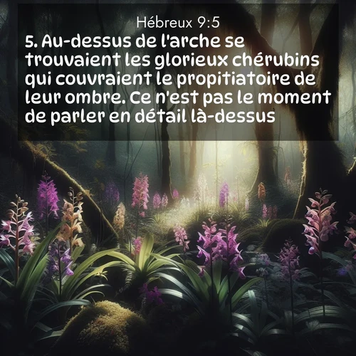 Segond21 Hébreux  ; image nature: image avec le verset biblique :Au-dessus de l&#039;arche se trouvaient les glorieux chérubins qui couvraient le propitiatoire de leur ombre. Ce n&#039;est pas le moment de parler en détail là-dessus. ;  ; 9:5
