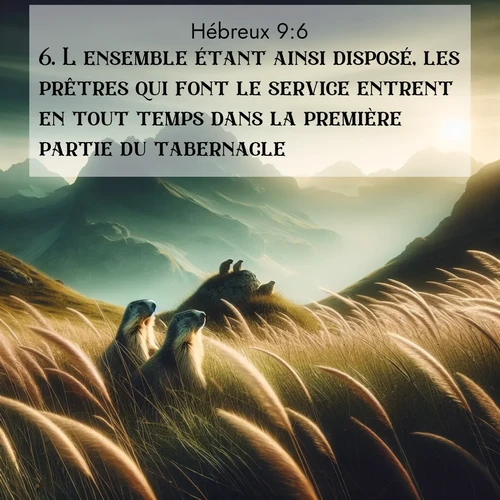 Segond21 Hébreux  ; image nature: image avec le verset biblique :L&#039;ensemble étant ainsi disposé, les prêtres qui font le service entrent en tout temps dans la première partie du tabernacle. ;  ; 9:6