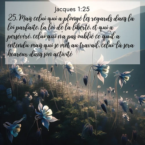Segond21 Jacques  ; image nature: image avec le verset biblique :Mais celui qui a plongé les regards dans la loi parfaite, la loi de la liberté, et qui a persévéré, celui qui n&#039;a pas oublié ce qu&#039;il a entendu mais qui se met au travail, celui-là sera heureux dans son activité. ;  ; 1:25