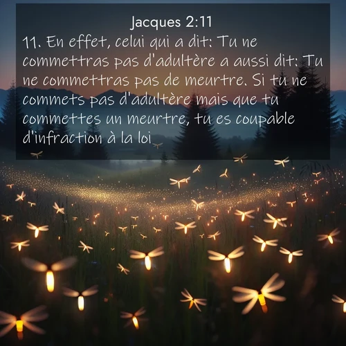Segond21 Jacques  ; image nature: image avec le verset biblique :En effet, celui qui a dit: Tu ne commettras pas d&#039;adultère a aussi dit: Tu ne commettras pas de meurtre. Si tu ne commets pas d&#039;adultère mais que tu commettes un meurtre, tu es coupable d&#039;infraction à la loi. ;  ; 2:11