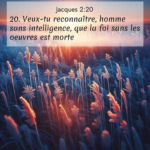 Segond21 Jacques  ; image nature: image avec le verset biblique :Veux-tu reconnaître, homme sans intelligence, que la foi sans les oeuvres est morte? ;  ; 2:20