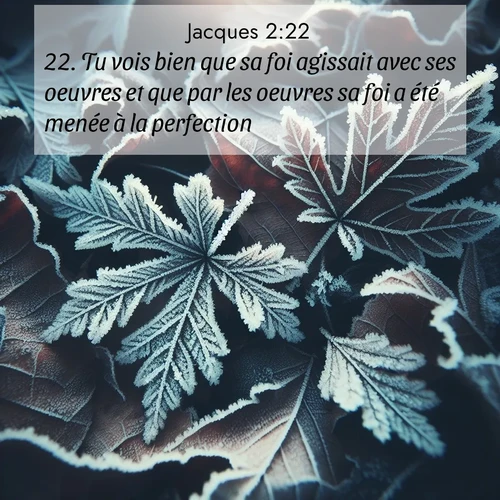 Segond21 Jacques  ; image nature: image avec le verset biblique :Tu vois bien que sa foi agissait avec ses oeuvres et que par les oeuvres sa foi a été menée à la perfection. ;  ; 2:22