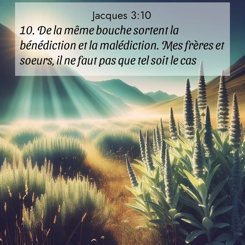 Segond21 Jacques  ; image nature: image avec le verset biblique :De la même bouche sortent la bénédiction et la malédiction. Mes frères et soeurs, il ne faut pas que tel soit le cas. ;  ; 3:10