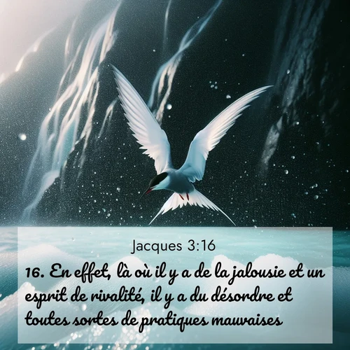 Segond21 Jacques  ; image nature: image avec le verset biblique :En effet, là où il y a de la jalousie et un esprit de rivalité, il y a du désordre et toutes sortes de pratiques mauvaises. ;  ; 3:16