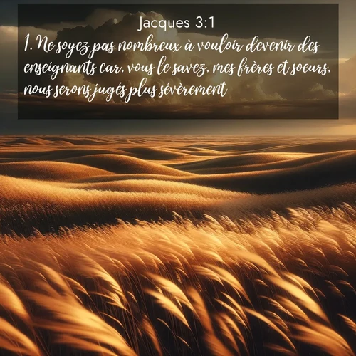 Segond21 Jacques  ; image nature: image avec le verset biblique :Ne soyez pas nombreux à vouloir devenir des enseignants car, vous le savez, mes frères et soeurs, nous serons jugés plus sévèrement. ;  ; 3:1