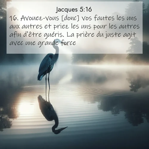 Segond21 Jacques  ; image nature: image avec le verset biblique :Avouez-vous [donc] vos fautes les uns aux autres et priez les uns pour les autres afin d&#039;être guéris. La prière du juste agit avec une grande force. ;  ; 5:16