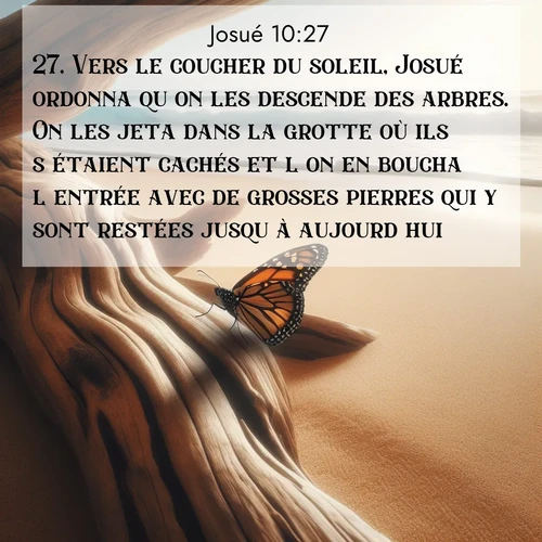 Segond21 Josué  ; image nature: image avec le verset biblique :Vers le coucher du soleil, Josué ordonna qu&#039;on les descende des arbres. On les jeta dans la grotte où ils s&#039;étaient cachés et l&#039;on en boucha l&#039;entrée avec de grosses pierres qui y sont restées jusqu&#039;à aujourd&#039;hui. ;  ; 10:27