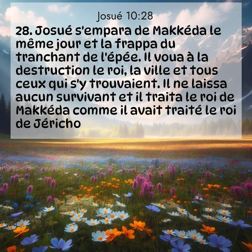 Segond21 Josué  ; image nature: image avec le verset biblique :Josué s&#039;empara de Makkéda le même jour et la frappa du tranchant de l&#039;épée. Il voua à la destruction le roi, la ville et tous ceux qui s&#039;y trouvaient. Il ne laissa aucun survivant et il traita le roi de Makkéda comme il avait traité le roi de Jéricho. ;  ; 10:28