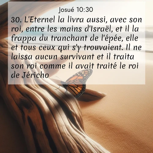 Segond21 Josué  ; image nature: image avec le verset biblique :L&#039;Eternel la livra aussi, avec son roi, entre les mains d&#039;Israël, et il la frappa du tranchant de l&#039;épée, elle et tous ceux qui s&#039;y trouvaient. Il ne laissa aucun survivant et il traita son roi comme il avait traité le roi de Jéricho. ;  ; 10:30