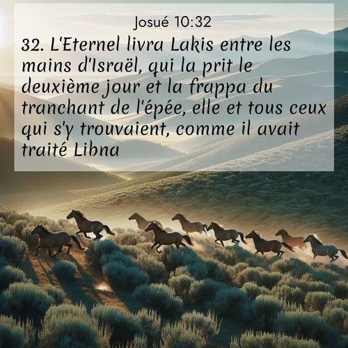 Segond21 Josué  ; image nature: image avec le verset biblique :L&#039;Eternel livra Lakis entre les mains d&#039;Israël, qui la prit le deuxième jour et la frappa du tranchant de l&#039;épée, elle et tous ceux qui s&#039;y trouvaient, comme il avait traité Libna. ;  ; 10:32