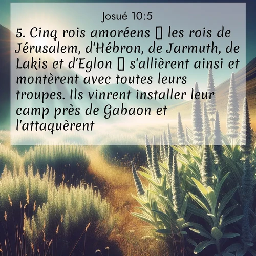 Segond21 Josué  ; image nature: image avec le verset biblique :Cinq rois amoréens  les rois de Jérusalem, d&#039;Hébron, de Jarmuth, de Lakis et d&#039;Eglon  s&#039;allièrent ainsi et montèrent avec toutes leurs troupes. Ils vinrent installer leur camp près de Gabaon et l&#039;attaquèrent. ;  ; 10:5