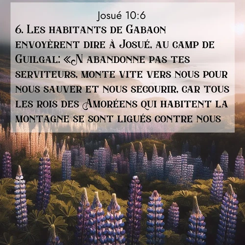 Segond21 Josué  ; image nature: image avec le verset biblique :Les habitants de Gabaon envoyèrent dire à Josué, au camp de Guilgal: «N&#039;abandonne pas tes serviteurs, monte vite vers nous pour nous sauver et nous secourir, car tous les rois des Amoréens qui habitent la montagne se sont ligués contre nous.» ;  ; 10:6