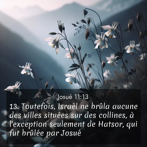 image nature avec verset biblique de la Bible