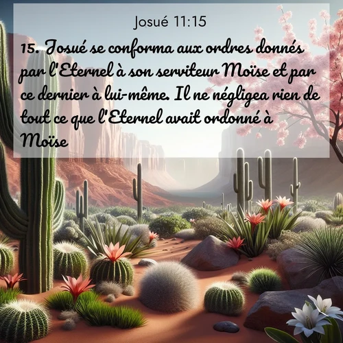 image nature avec verset biblique de la Bible