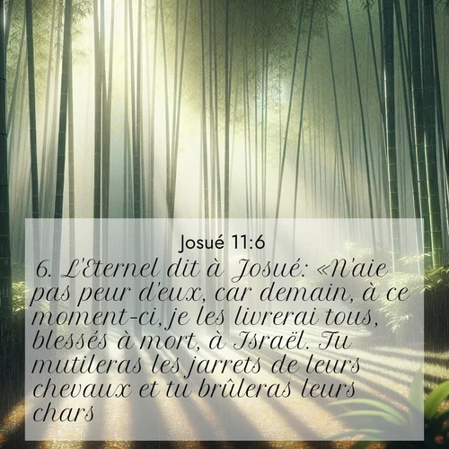 image nature avec verset biblique de la Bible