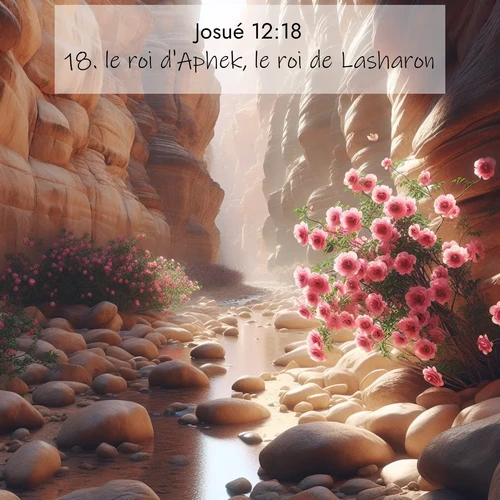 Segond21 Josué  ; image nature: image avec le verset biblique :le roi d&#039;Aphek, le roi de Lasharon, ;  ; 12:18