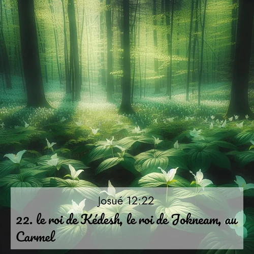 Segond21 Josué  ; image nature: image avec le verset biblique :le roi de Kédesh, le roi de Jokneam, au Carmel, ;  ; 12:22