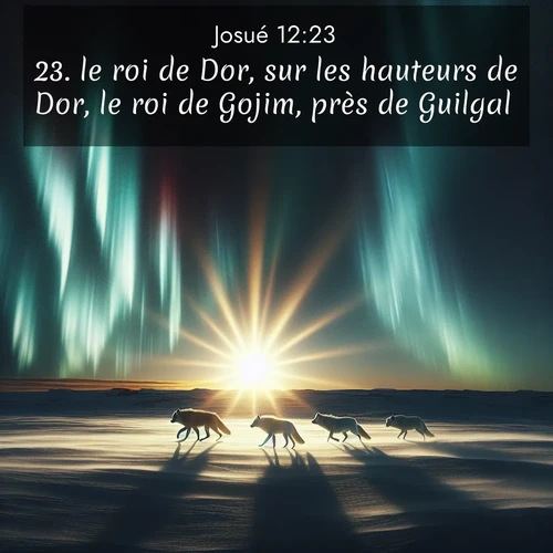 Segond21 Josué  ; image nature: image avec le verset biblique :le roi de Dor, sur les hauteurs de Dor, le roi de Gojim, près de Guilgal, ;  ; 12:23