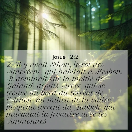 Segond21 Josué  ; image nature: image avec le verset biblique :Il y avait Sihon, le roi des Amoréens, qui habitait à Hesbon. Il dominait sur la moitié de Galaad, depuis Aroër, qui se trouve au bord du torrent de l&#039;Arnon, au milieu de la vallée, jusqu&#039;au torrent du Jabbok, qui marquait la frontière avec les Ammonites; ;  ; 12:2