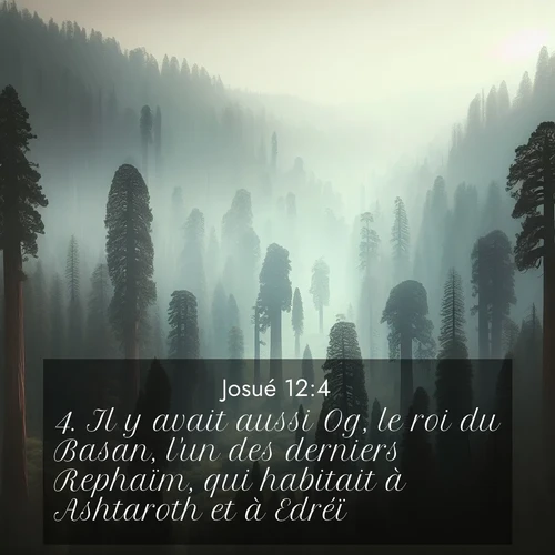 Segond21 Josué  ; image nature: image avec le verset biblique :Il y avait aussi Og, le roi du Basan, l&#039;un des derniers Rephaïm, qui habitait à Ashtaroth et à Edréï. ;  ; 12:4